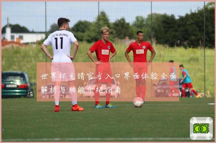 世界杯竞猜官方入口界面体验全面解析与功能介绍指南