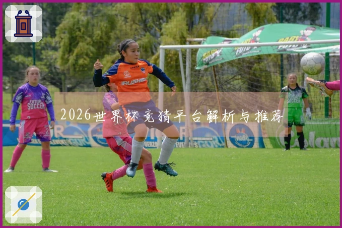 2026世界杯竞猜平台解析与推荐