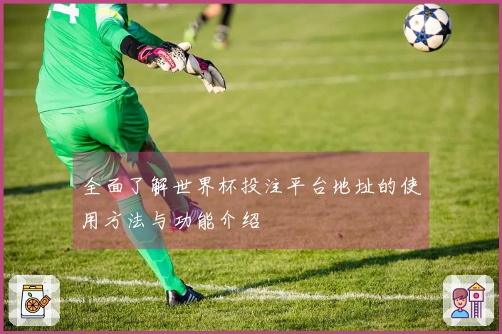 全面了解世界杯投注平台地址的使用方法与功能介绍