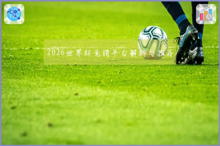 2026世界杯竞猜平台解析与推荐