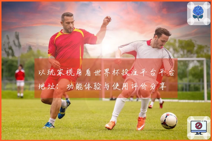以玩家视角看世界杯投注平台平台地址:功能体验与使用评价分享