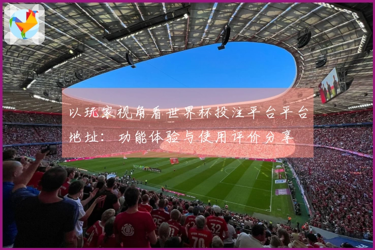 以玩家视角看世界杯投注平台平台地址：功能体验与使用评价分享