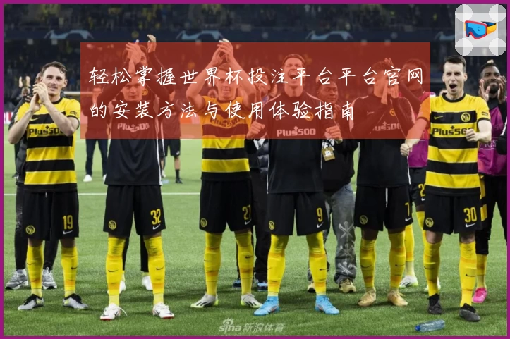 轻松掌握世界杯投注平台平台官网的安装方法与使用体验指南
