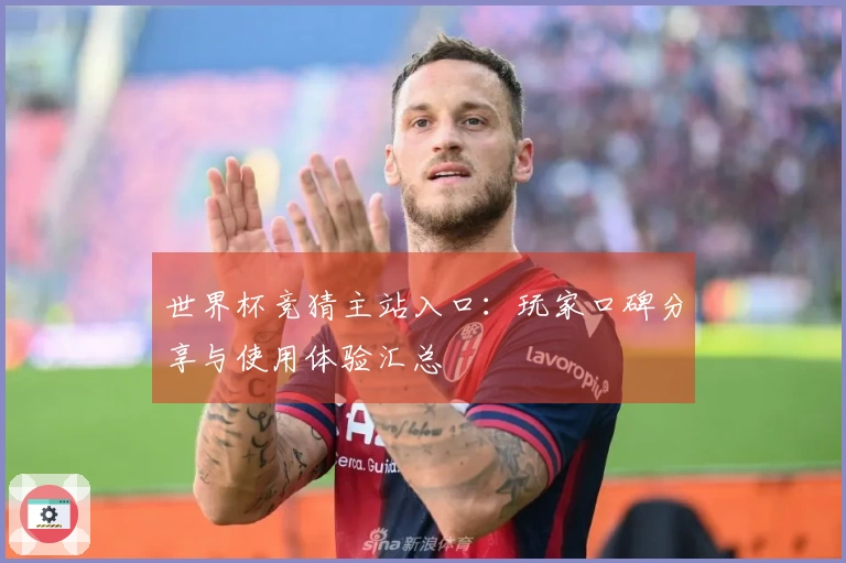 世界杯竞猜主站入口：玩家口碑分享与使用体验汇总