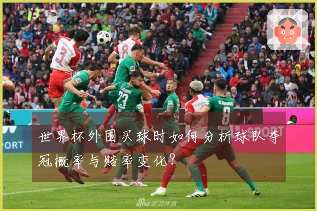 世界杯外围买球时如何分析球队夺冠概率与赔率变化?