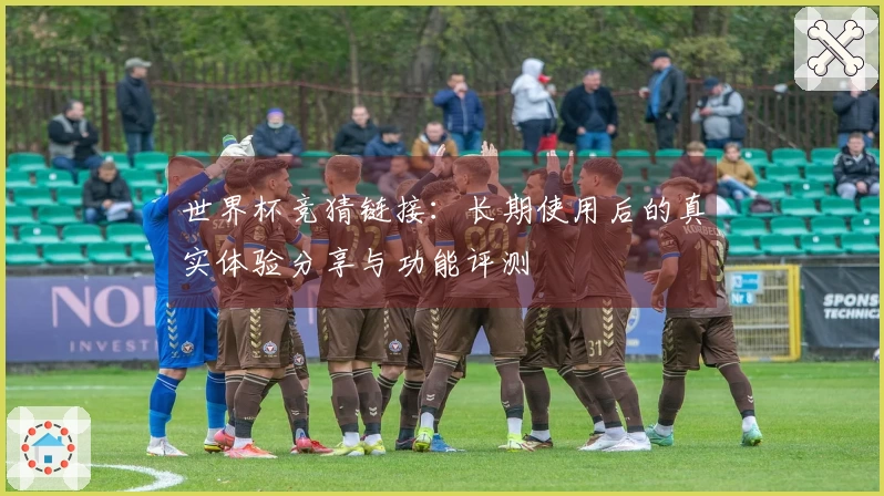 世界杯竞猜链接：长期使用后的真实体验分享与功能评测