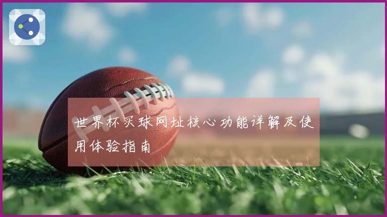 世界杯买球网址核心功能详解及使用体验指南