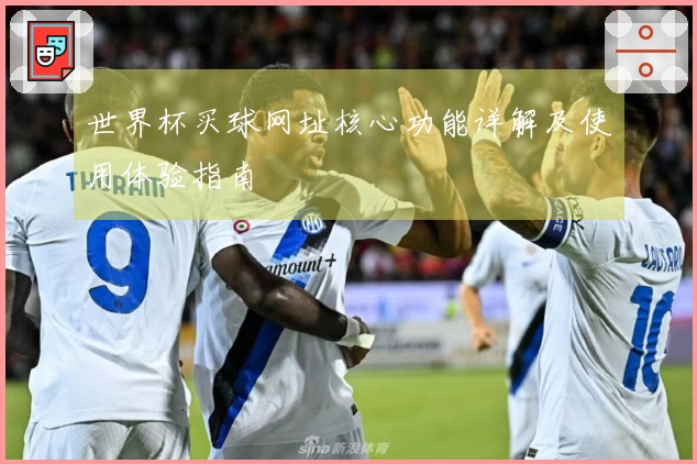 世界杯买球网址核心功能详解及使用体验指南